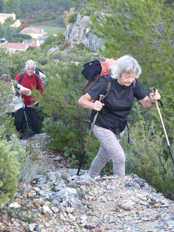 Meyrargues-Terme de Judas-Jeudi 27 novembre 2014 AdJ51j