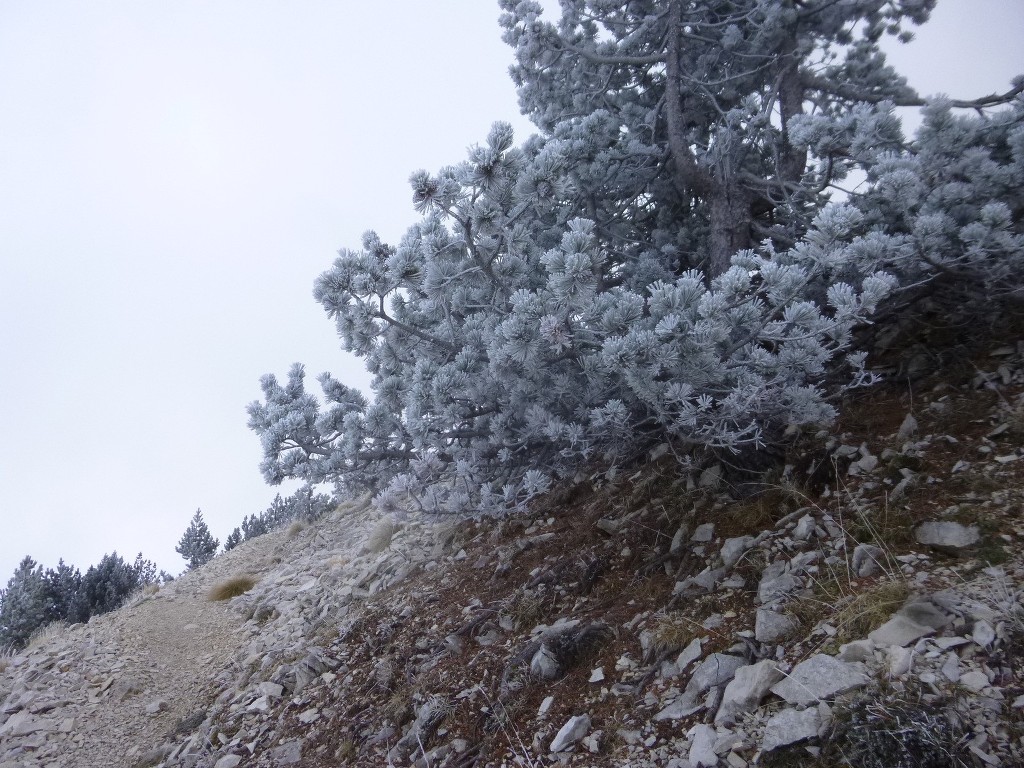 Ventoux-Balcon Nord-Jeudi 15 octobre 2015 UXcl2f