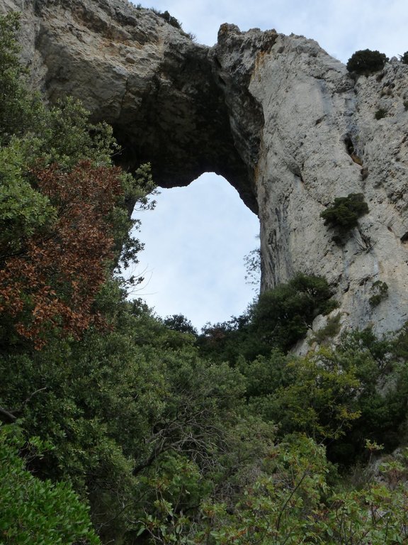 Vallon de l'Arc-Forêt des Cèdres-Arche du Portalas-Jeudi 10 octobre 2013 1oway1