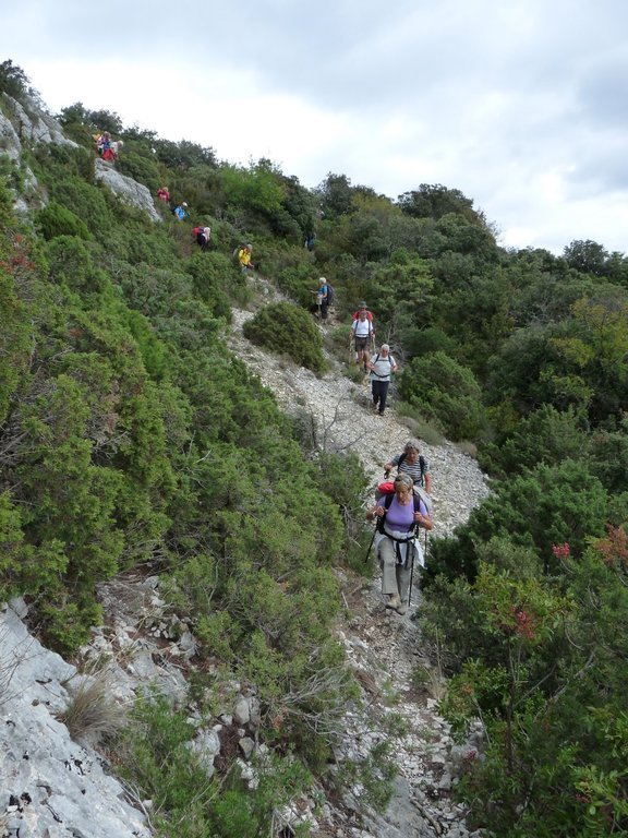 Vallon de l'Arc-Forêt des Cèdres-Arche du Portalas-Jeudi 10 octobre 2013 2PE6Hl