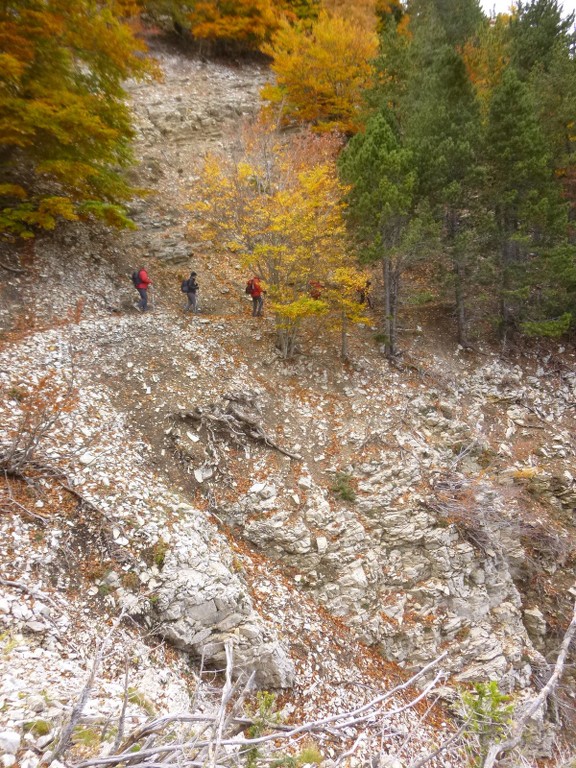 Ventoux-Balcon Nord-Jeudi 15 octobre 2015 8VHvB1