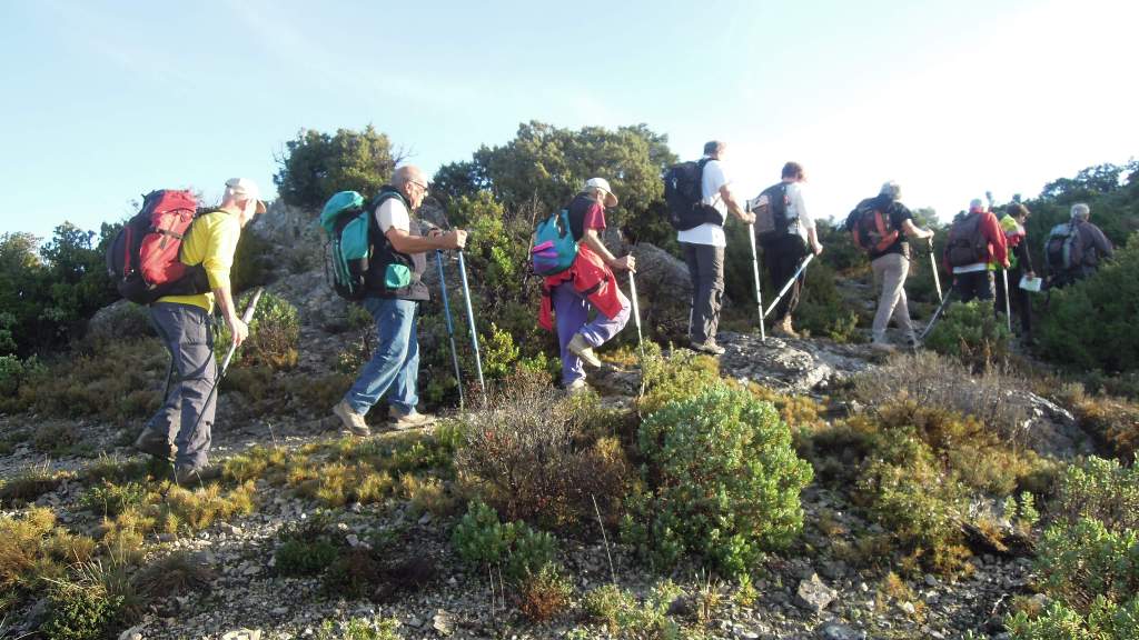 Meyrargues-Terme de Judas-Jeudi 27 novembre 2014 9JM9v7