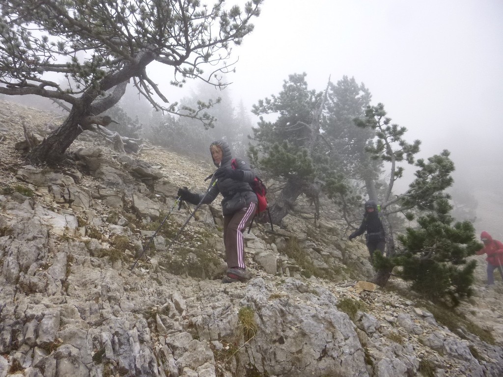 Ventoux-Balcon Nord-Jeudi 15 octobre 2015 A6b2OQ