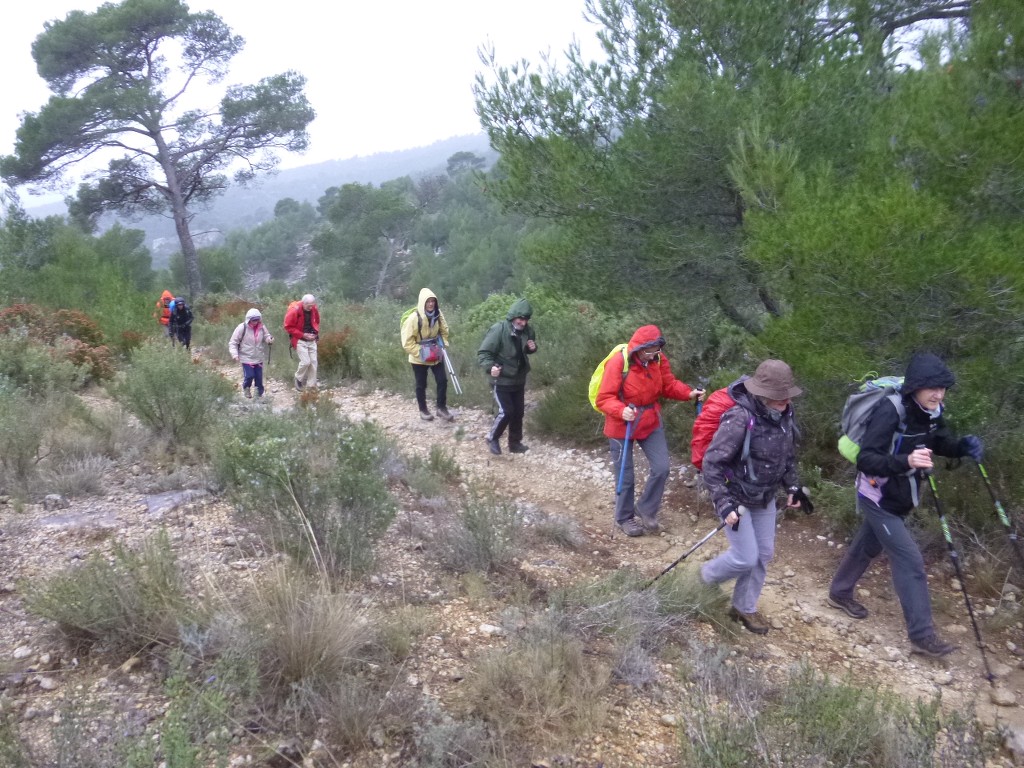 Ceyreste-Montounier-Jeudi 7 janvier 2016 AiL9sC