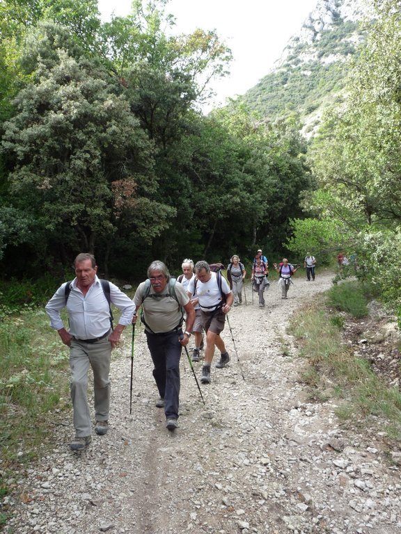 Vallon de l'Arc-Forêt des Cèdres-Arche du Portalas-Jeudi 10 octobre 2013 EfsgcJ