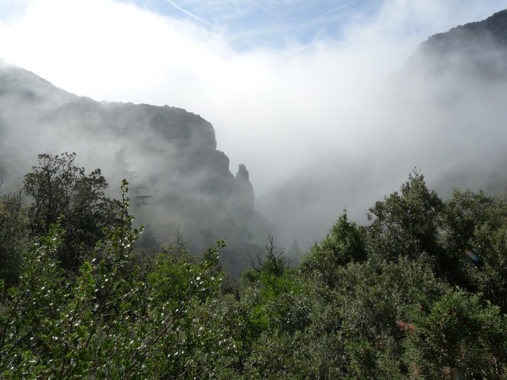 Lubéron-Vallon de l'Arc-Vallon du Tour Nègre-Jeudi 29 octobre 2009 JxyhKo