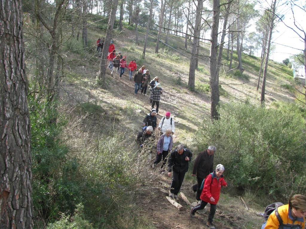 Calas-Jeudi 28 février 2013 TTWqQo