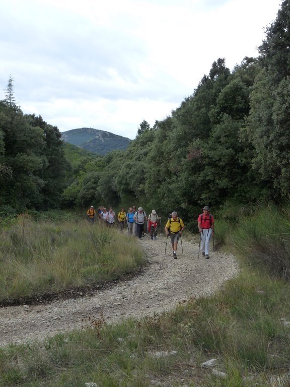 Vallon de l'Arc-Forêt des Cèdres-Arche du Portalas-Jeudi 10 octobre 2013 WR3XDn