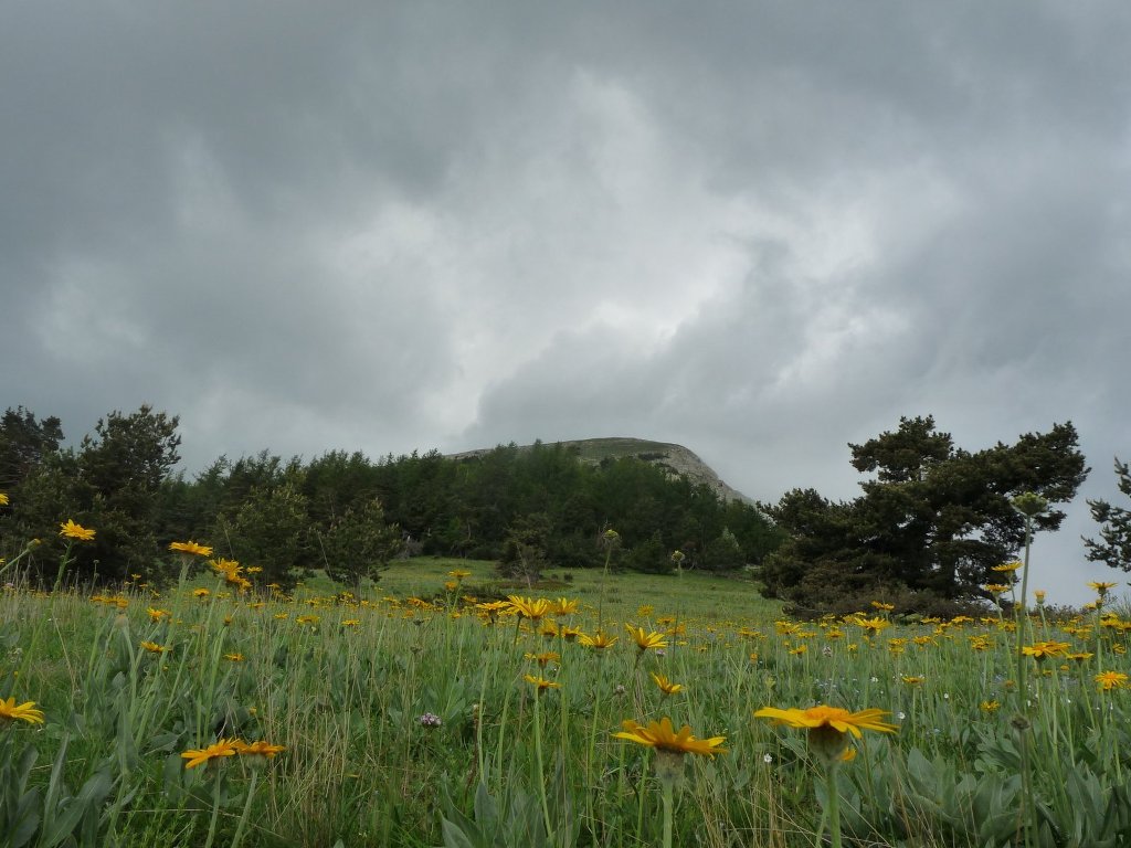 Archail-Sommet du Couard-Jeudi 20 juin 2013 YEfZNO