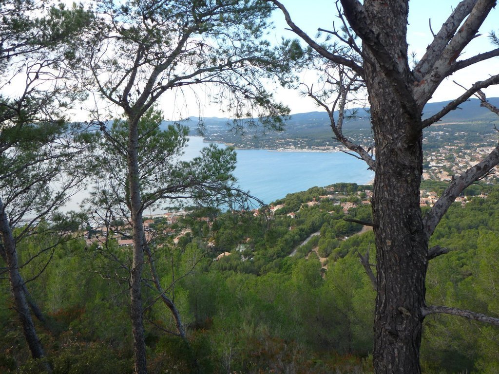 Madrague des Lecques-Port d'Alon-Jeudi 28 novembre 2013 F7vebE