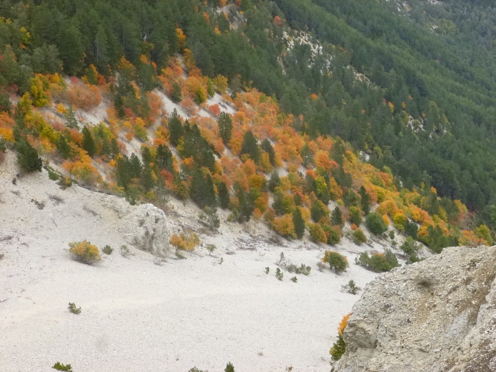 Ventoux-Balcon Nord-Jeudi 15 octobre 2015 GVIh2F