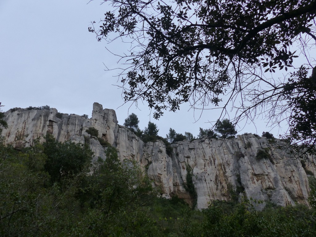 Ceyreste-Montounier-Jeudi 7 janvier 2016 Hm9Gp2