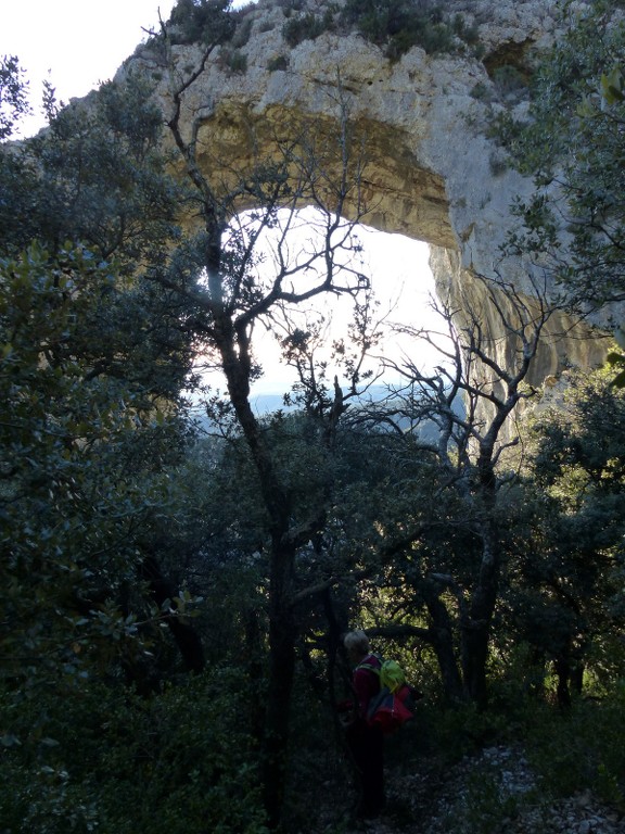 Lubéron-Vallon de l'Arc et Arche du Portalas-Jeudi 26 novembre 2015 IuHosA