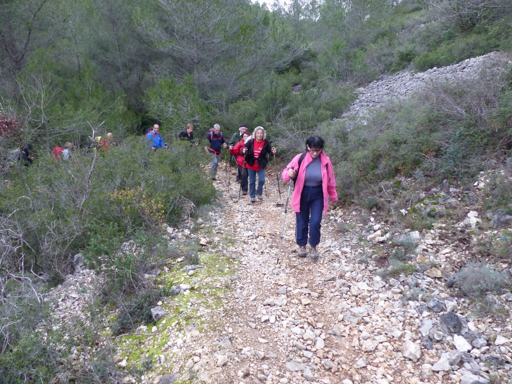 Ceyreste-Montounier-Jeudi 7 janvier 2016 Oq9m0H