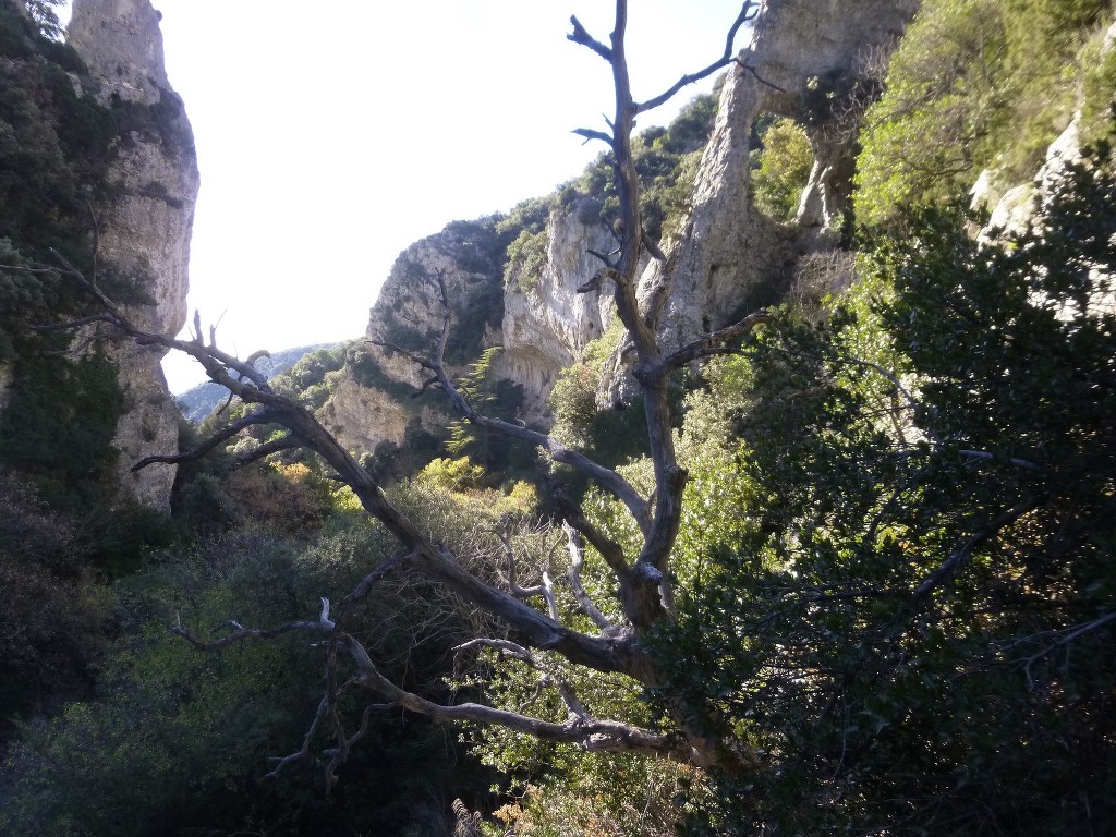 Lubéron-Vallon de l'Arc et Arche du Portalas-Jeudi 26 novembre 2015 XN7ZTL