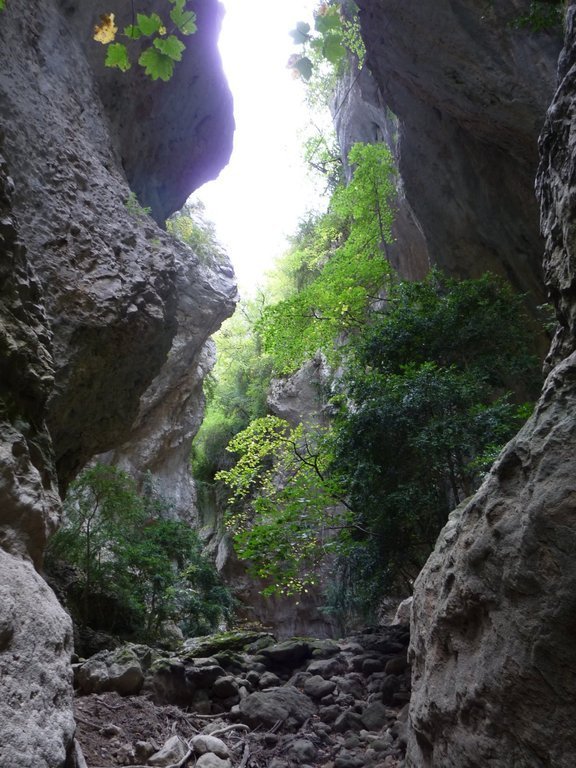 Monieux-Gorges de la Nesque-Jeudi 3 octobre 2013 1lzxN4