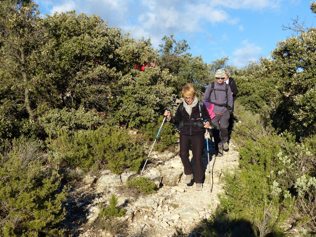 Lubéron-Vallon de l'Arc et Arche du Portalas-Jeudi 26 novembre 2015 43mwED