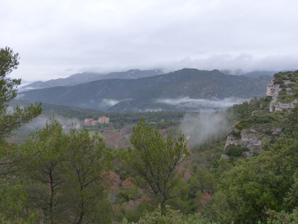 Ceyreste-Montounier-Jeudi 7 janvier 2016 9e4nGa