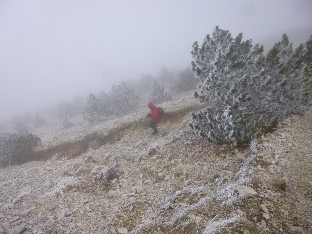 Ventoux-Balcon Nord-Jeudi 15 octobre 2015 C9VZqX