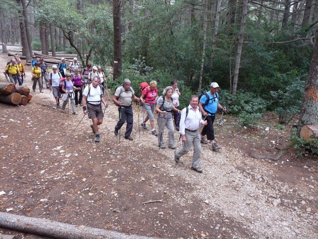 Vallon de l'Arc-Forêt des Cèdres-Arche du Portalas-Jeudi 10 octobre 2013 DDzWrE