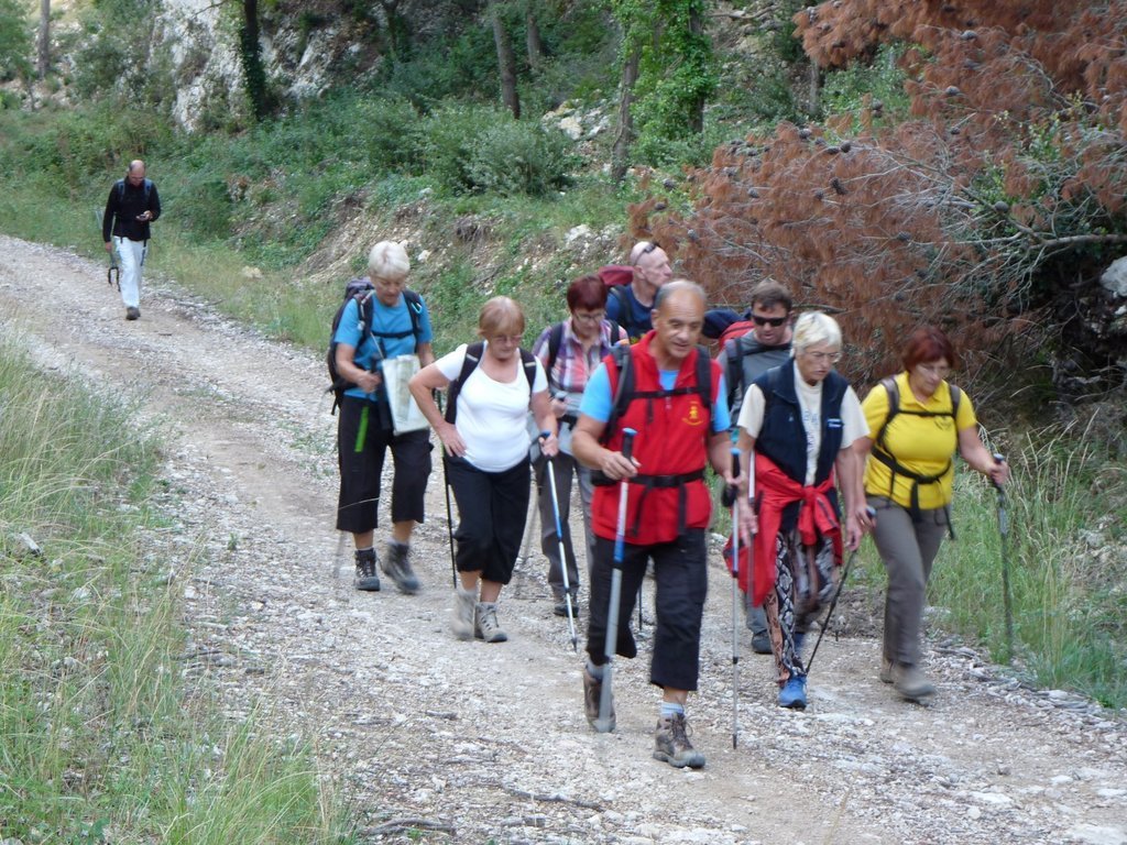 Vallon de l'Arc-Forêt des Cèdres-Arche du Portalas-Jeudi 10 octobre 2013 IRcgrZ