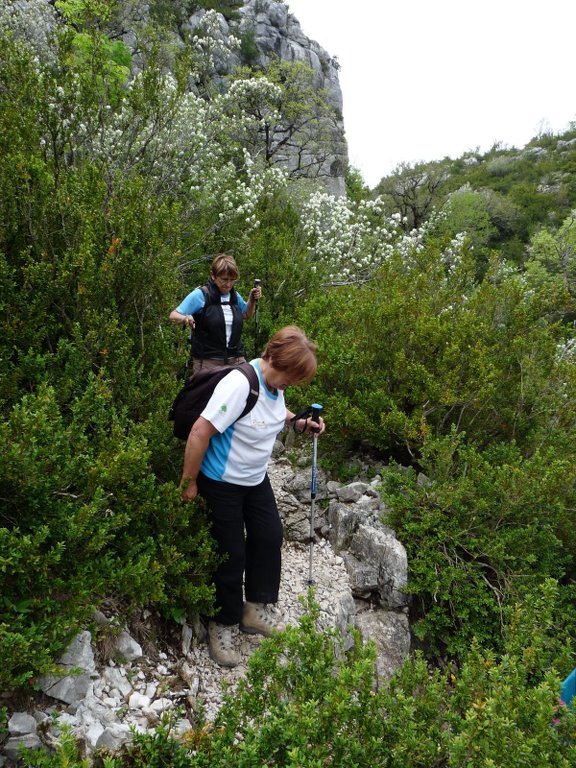 Verdon-Sentiers Imbut et Vidal-Jeudi 9 mai 2013 IgxAu7