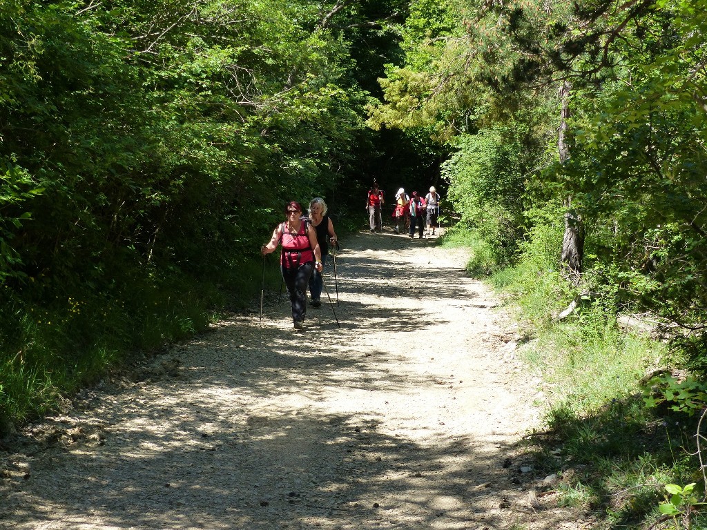 Ste Baume-Grotte aux Oeufs-Paradis-Glacières-Sentier Merveilleux-Jeudi 28 mai 2015 IxGmVW