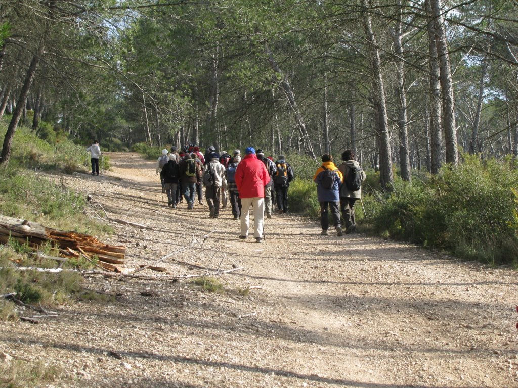 Calas-Jeudi 28 février 2013 QUMm56