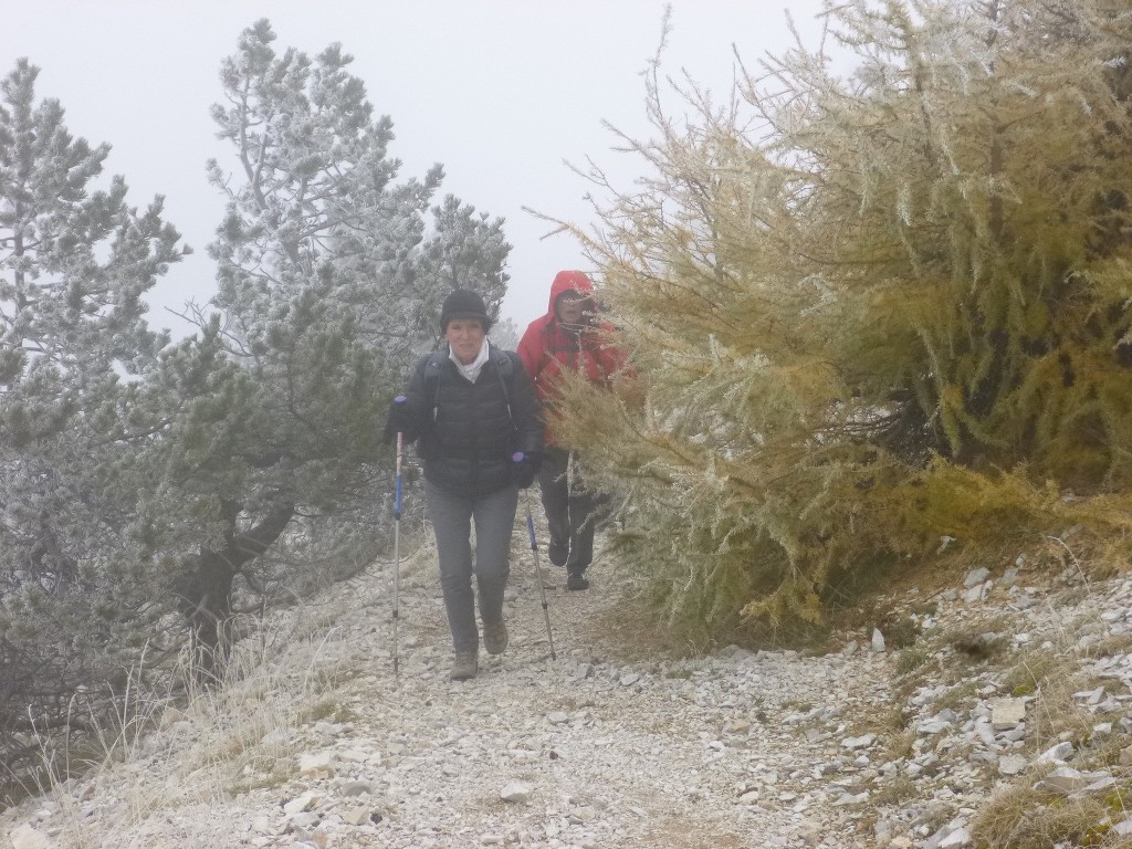 Ventoux-Balcon Nord-Jeudi 15 octobre 2015 YOQIn4