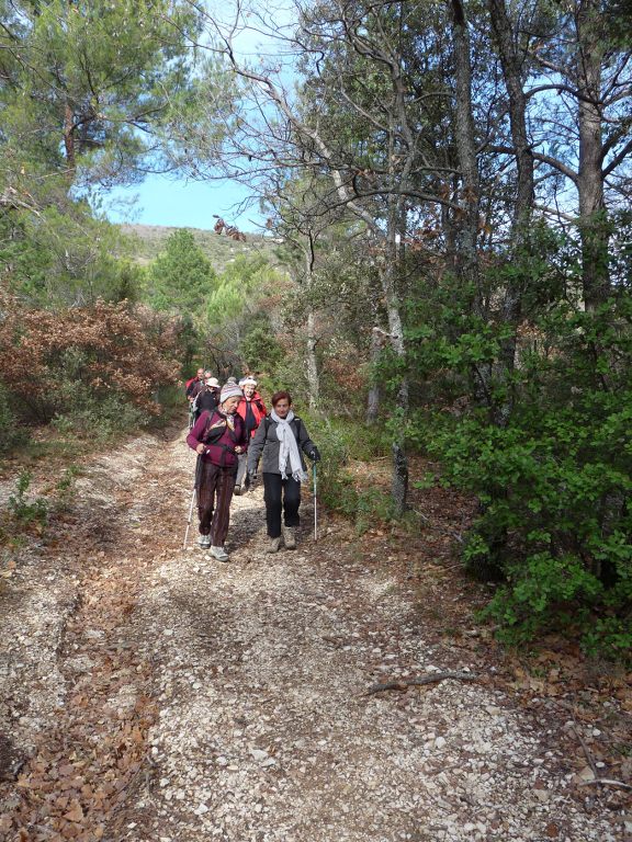 Lubéron-Mourre Nègre- Jeudi 29 novembre 2012 Dx0mVQ