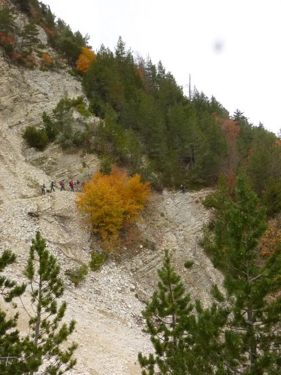 Ventoux-Balcon Nord-Jeudi 15 octobre 2015 Nuxxrt