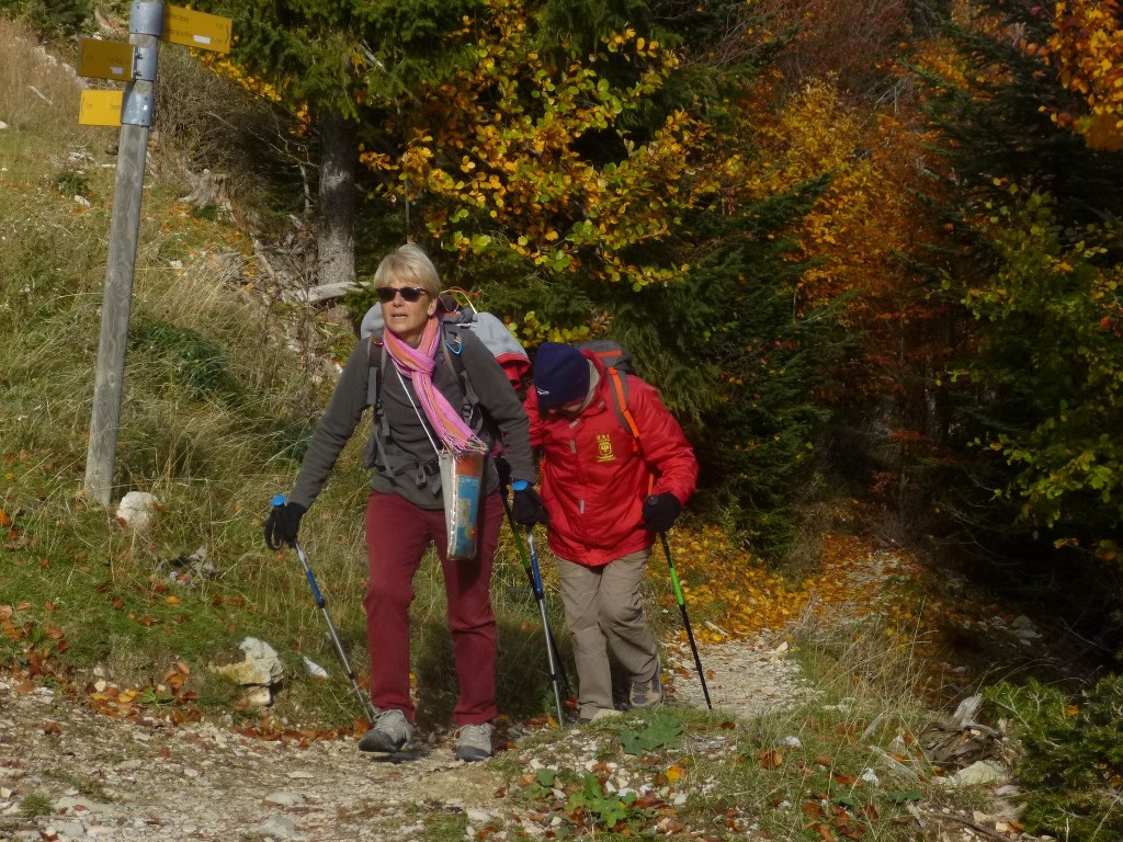 Ventoux-Balcon Nord-Jeudi 15 octobre 2015 ECjLcJ