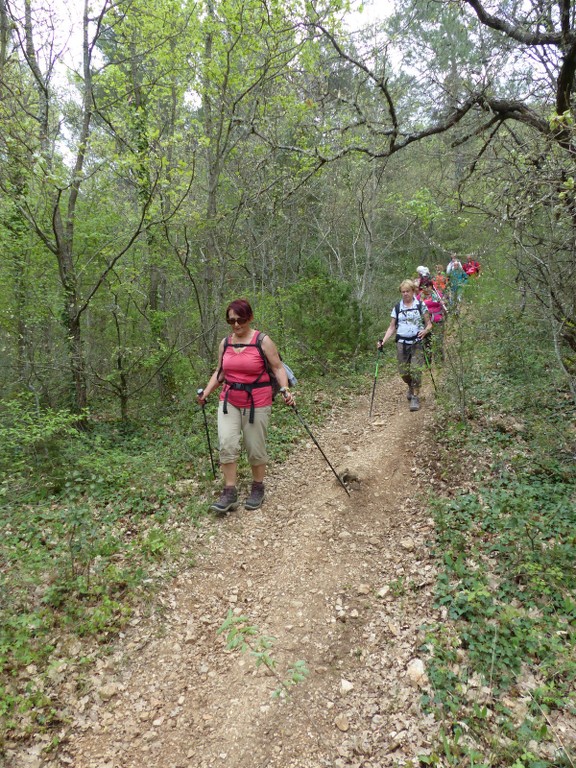 Rians-Montagne d'Artigues-Jeudi 23 avril 2015 AxKCRt