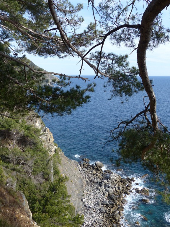 Notre Dame de Mai-Cap Sicié-Jeudi 30 avril 2015 B3gwvg