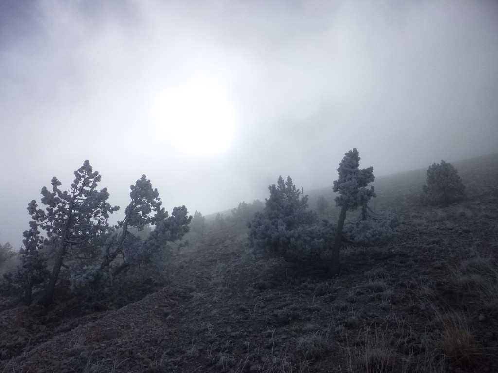 Ventoux-Balcon Nord-Jeudi 15 octobre 2015 EV3sC7