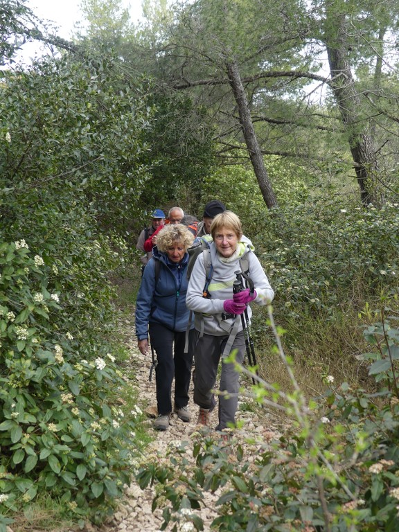 St Rémy-Plateau de la Caume-Mont Gaussier-Jeudi 14 mars 2019 2w5lpY