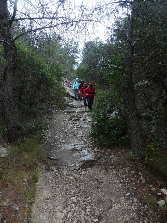 Ceyreste-Le Montounier-Jeudi 27 février 2020 32qHCy