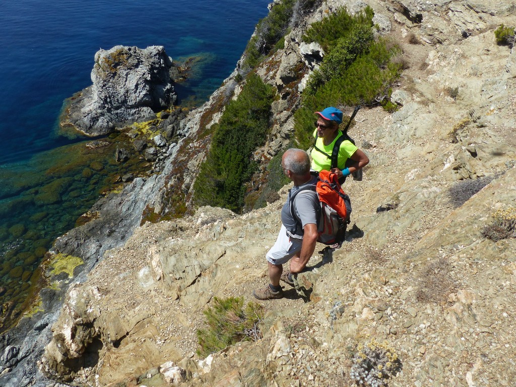 Porquerolles-Du Mont de Tièlo à la Galère-Jeudi 23 juin 2016 4aKPcz