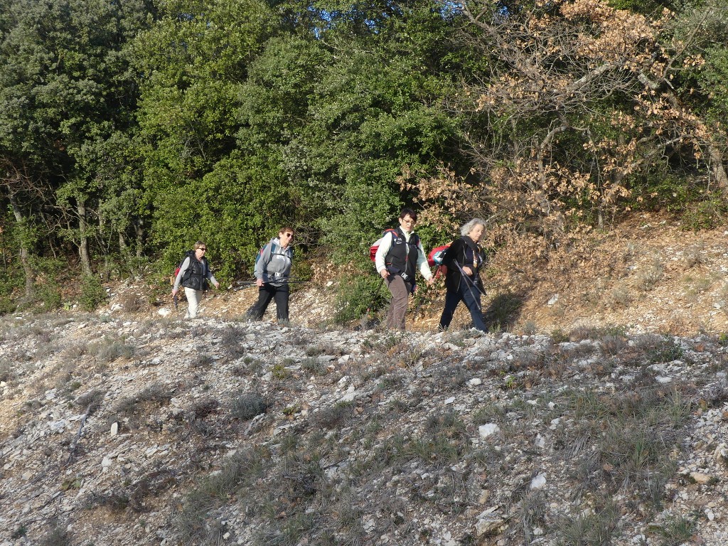 St Saturnin lès Apt-Baume RoustanJeudi 6 février 2020 5nRUCT