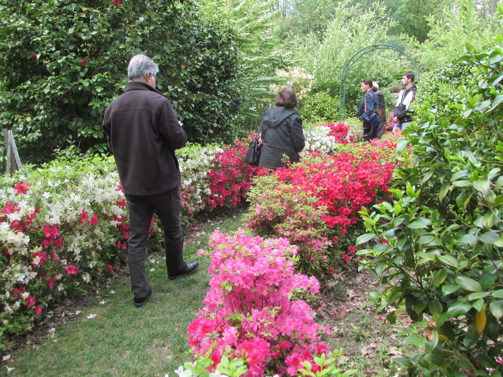 Alès-Parc floral des Prairies-Samedi 27 avril 2019 8x7EqD