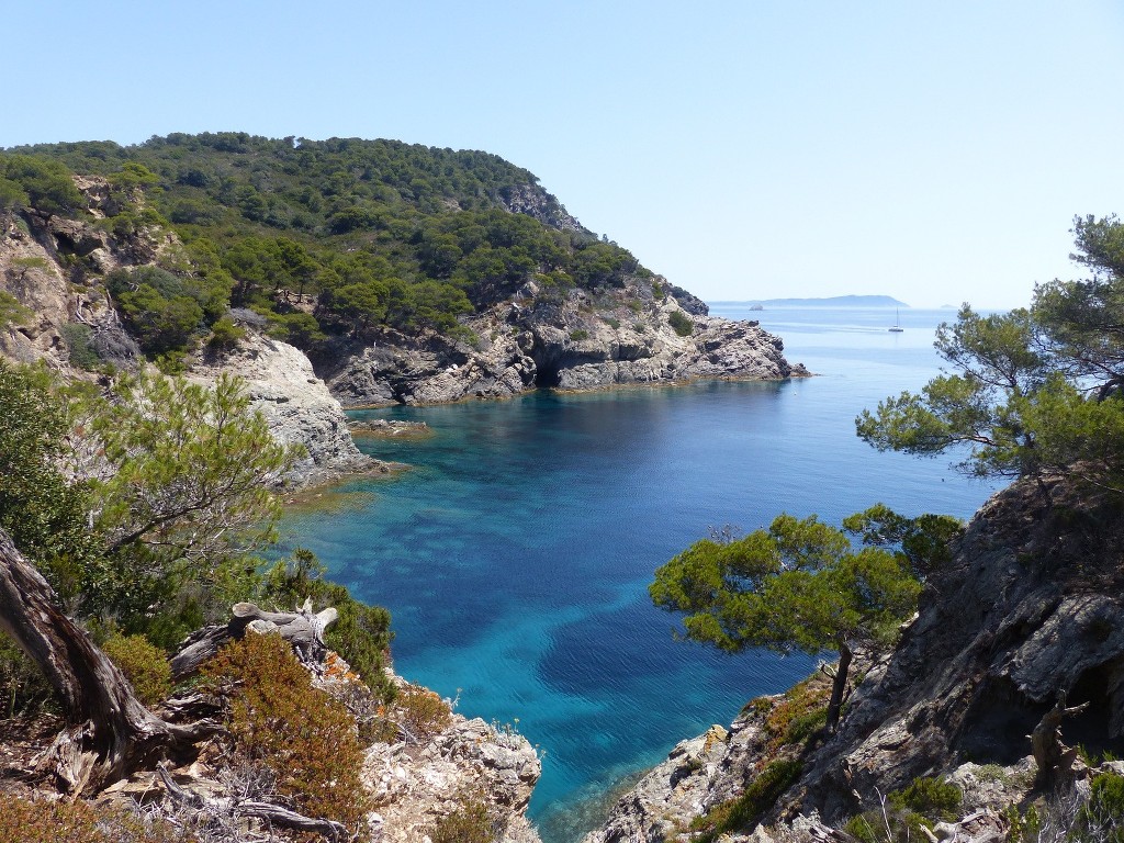 Porquerolles-Du Mont de Tièlo à la Galère-Jeudi 23 juin 2016 B7t6RB