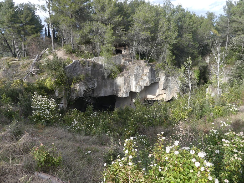 St Rémy-Plateau de la Caume-Mont Gaussier-Jeudi 14 mars 2019 CA80W7