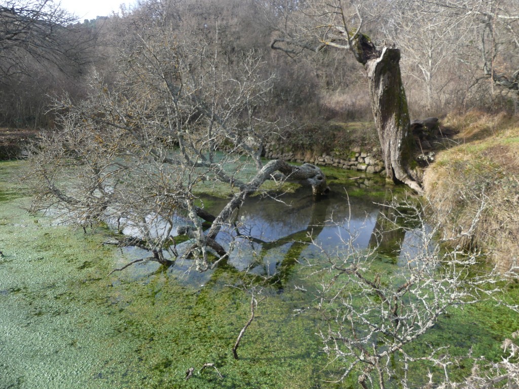 Sources de l'Huveaune-Rocs du Cayre-Jeudi 7 février 2019 FFYkDp