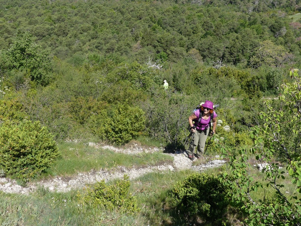 Pic St Cyr-Gorges de la Méouge-Jeudi 21 juin 2018 FPvdZM