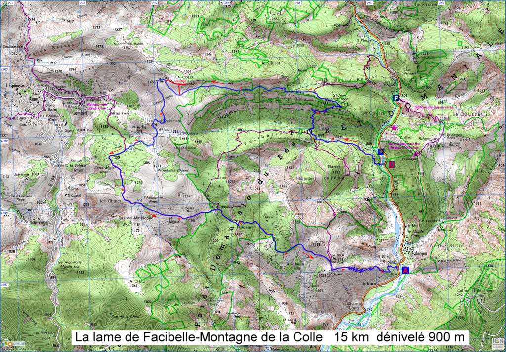 Lame de Facibelle-La Colle-Jeudi 30 mai 2019 FgToHy