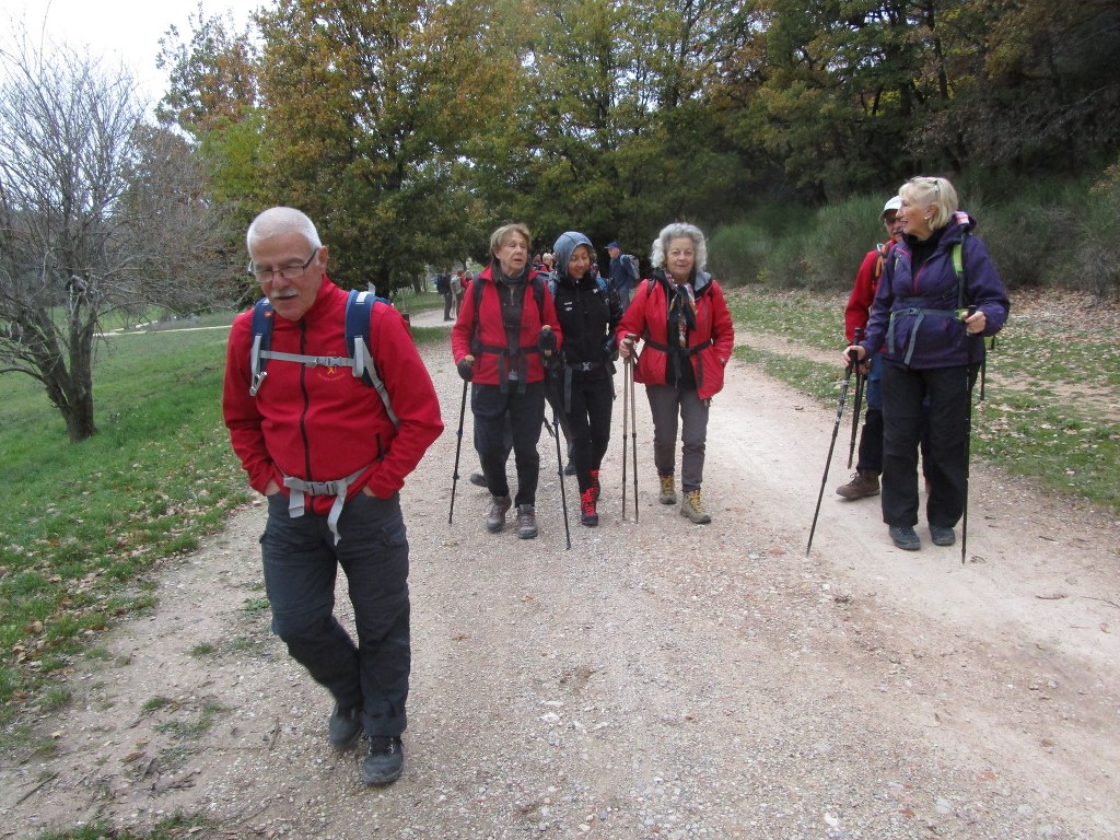 Pichauris-Plateau de l'Aroumi-Jeudi 5 décembre 2019 GPdZ9G