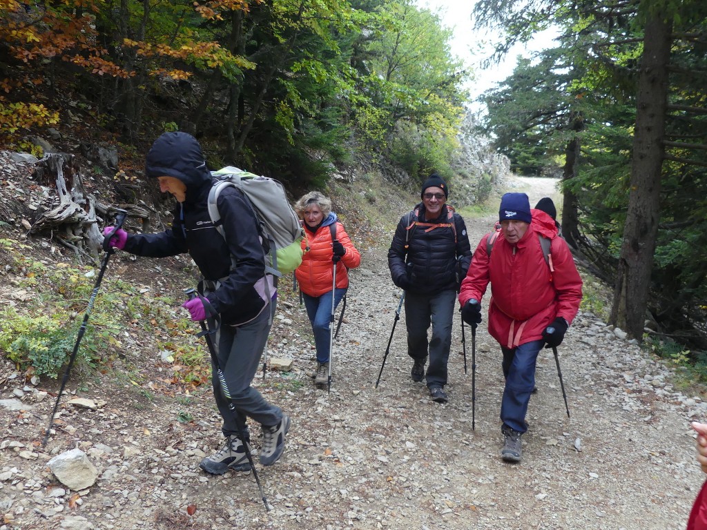 Mont Serein-Ventoux-Jeudi 17 octobre 2019 Gq9kPg