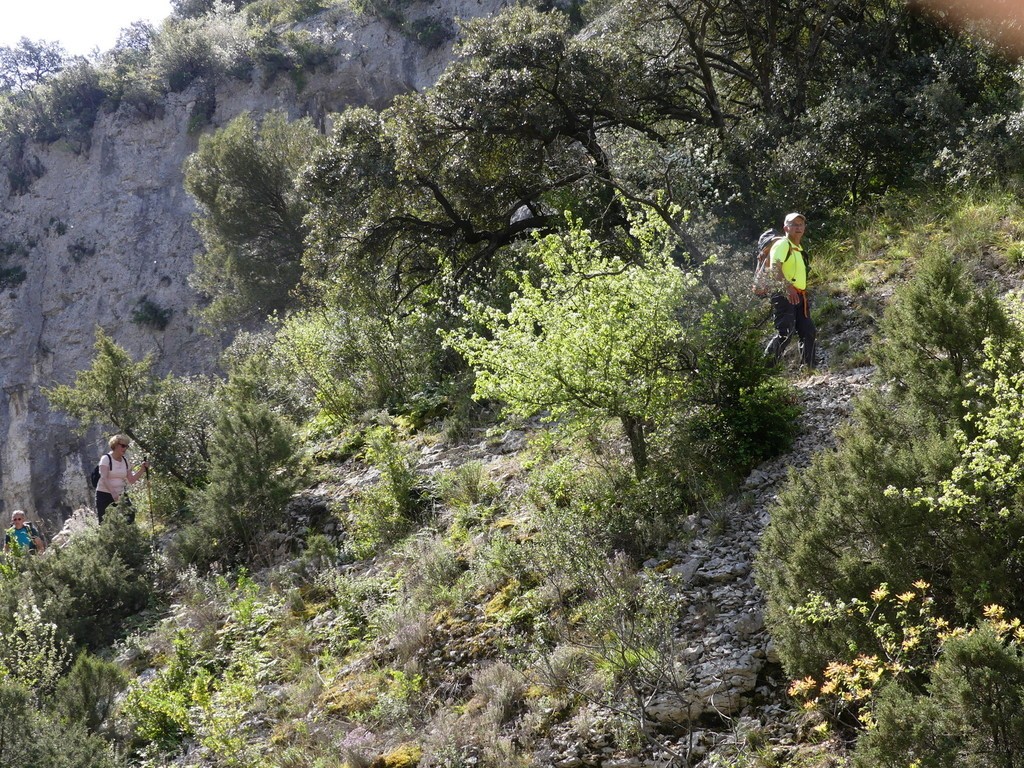 Joucas-Gorges de la Véroncle-Jeudi 18 avril 2019 H9DgqW