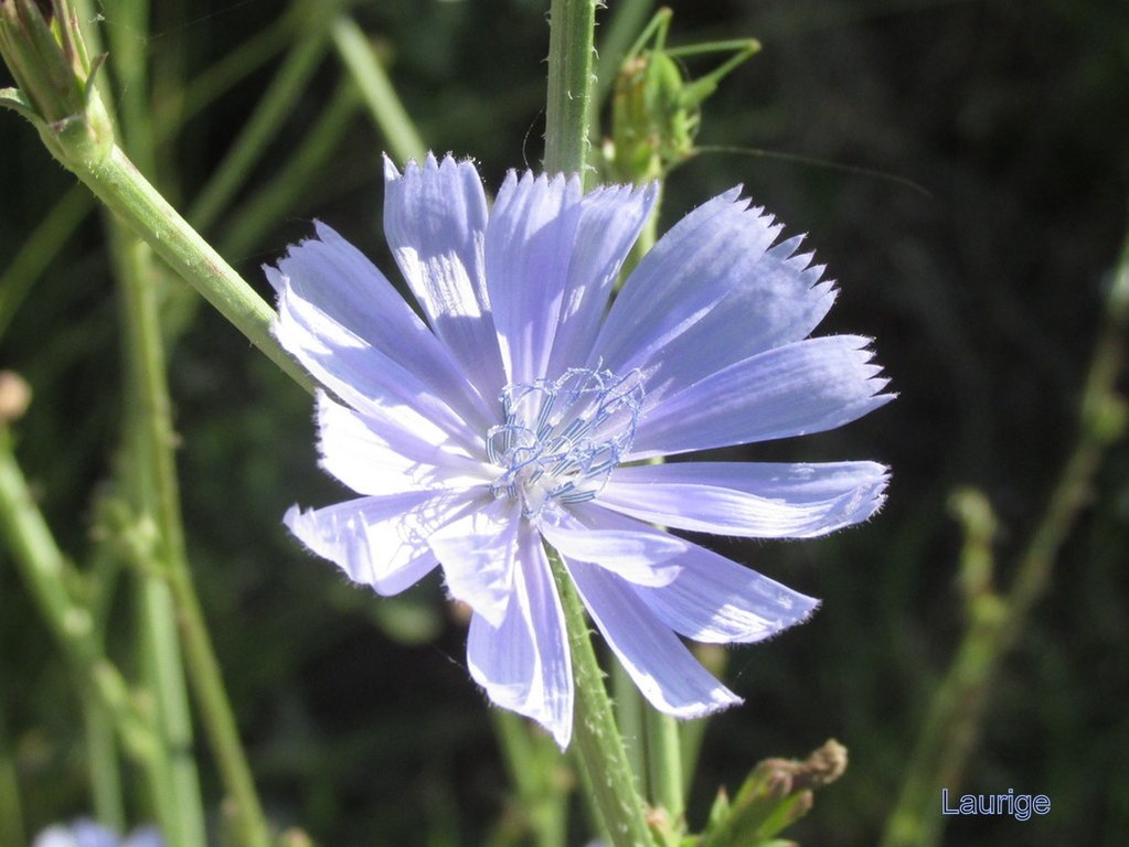 Calas - Jeudi matin 21 juin 2018 HqJ9Bu