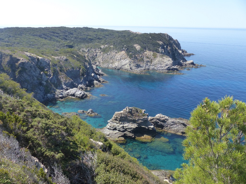 Porquerolles-Du Mont de Tièlo à la Galère-Jeudi 23 juin 2016 Ib8xzA